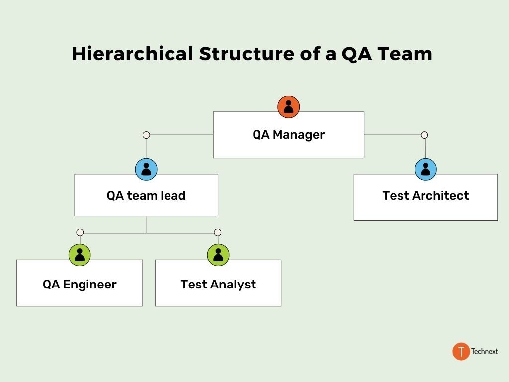 Hierarchical Structure of a Quality Assurance Team