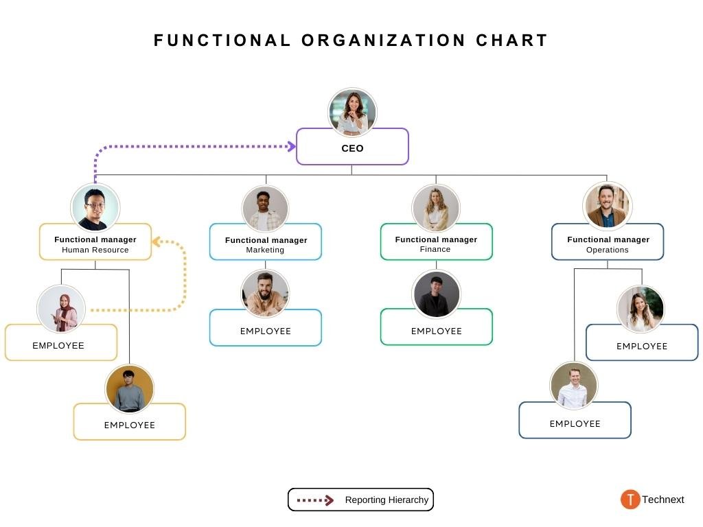 Functional ORGANIZATIon chart (1)