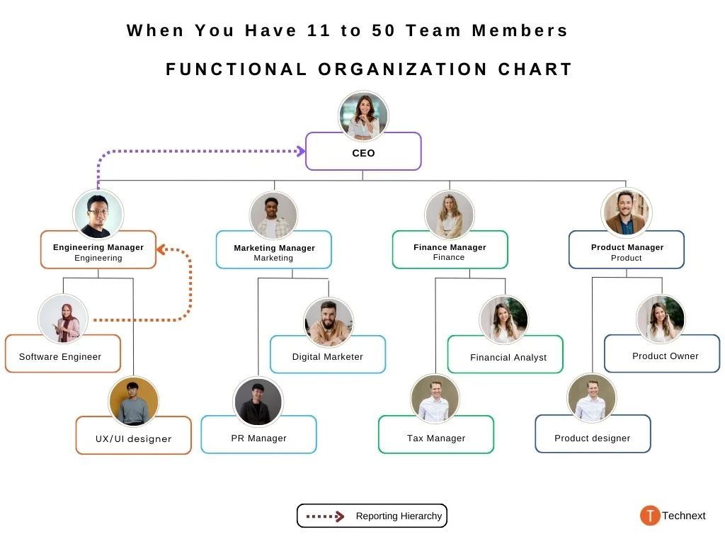 11 to 50 Team Members When You Have 11 to 50 Team Members functional organization chart