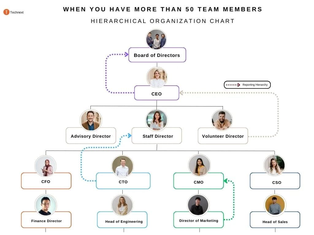 When You Have More than 50 Team Members hierarchical organization chart