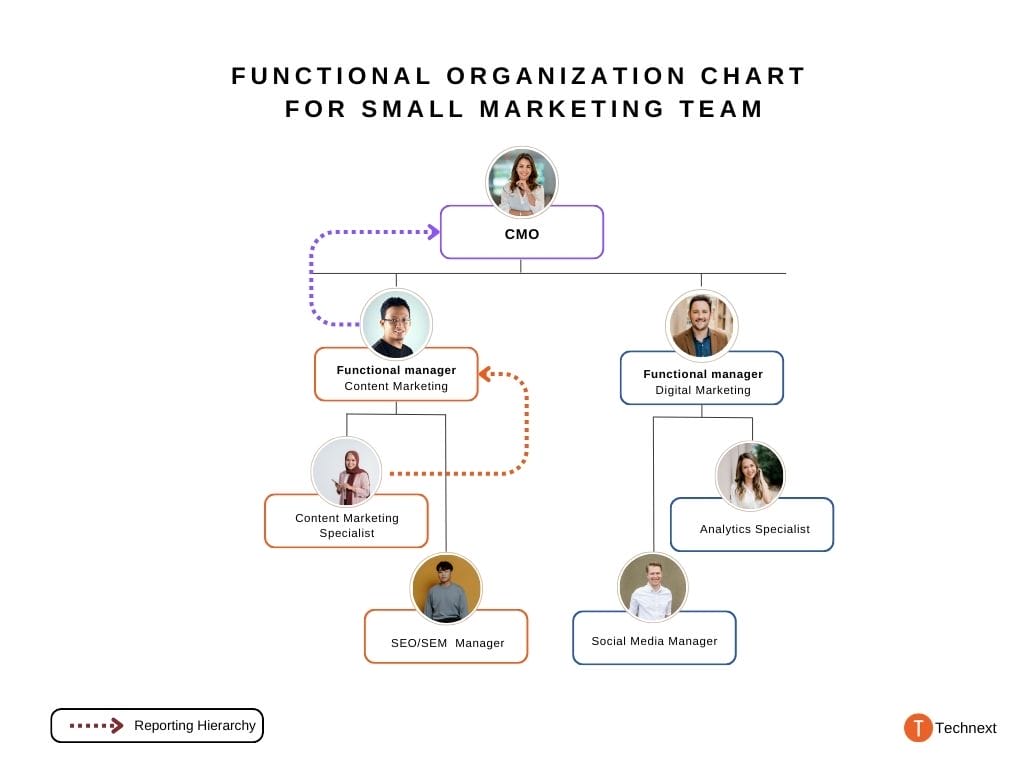 marketing team structure