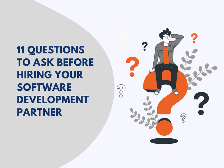 Software development Partner