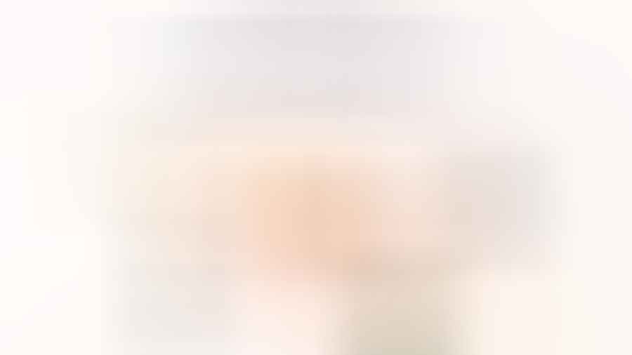 12 Top eCommerce Development Companies in the U.S. Backed by Research (2025)